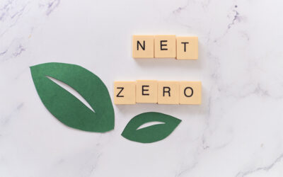 Net Zero Strategies