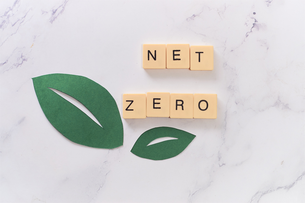 Net Zero Strategies