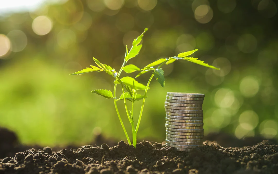 India’s Carbon Credit Trading Scheme: A Plain-Language Guide for Obligated Companies