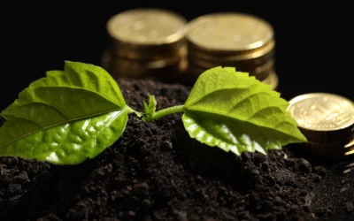 Carbon Credit Price in India: What One Credit Actually Costs