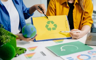 Life Cycle Assessment in India: Stages, Standards, and What an LCA Actually Involves