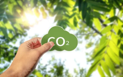 How to Calculate Your Company’s Carbon Footprint in India