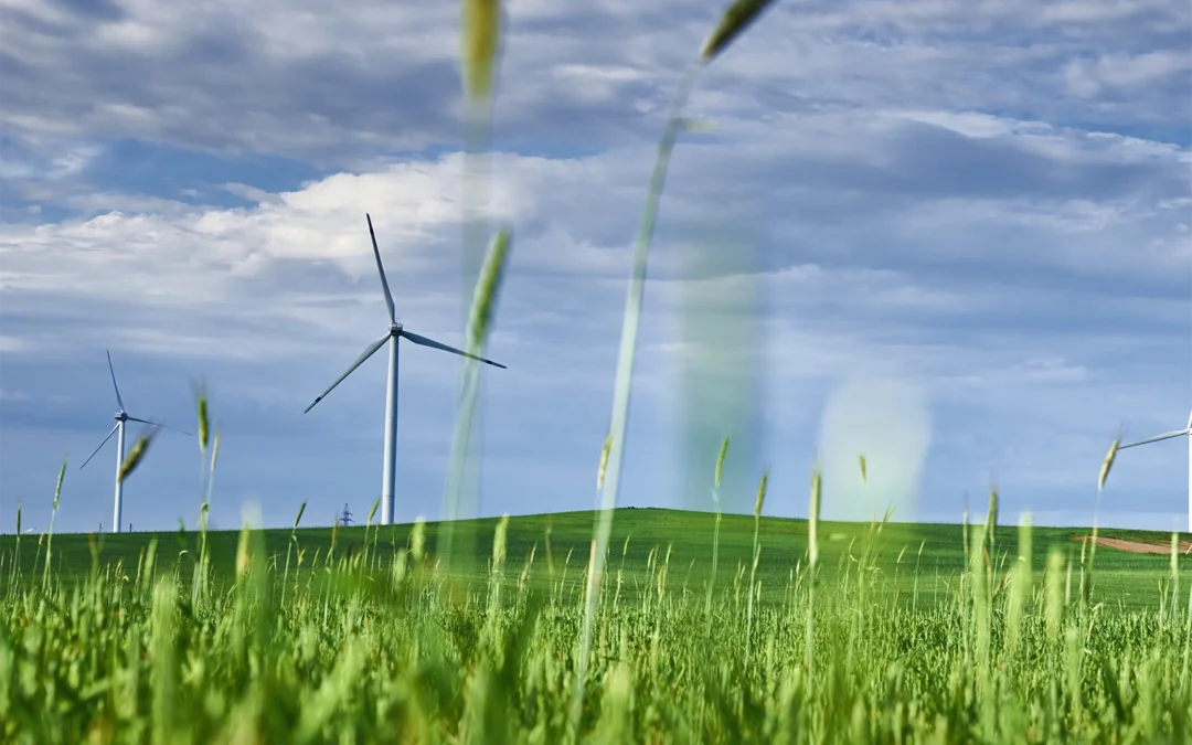 How to Earn Carbon Credits in India: The CCTS Offset Route